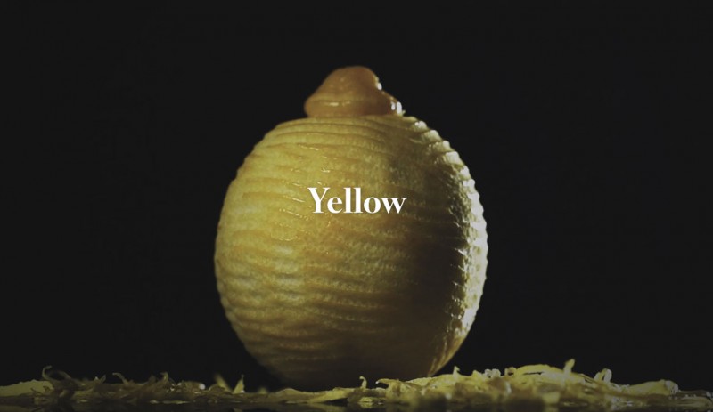 SamsungYellow-800x463